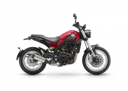 BENELLI LEONCINO 500 TRAIL