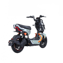 TAILG X51 LEAD ACID 25km/h